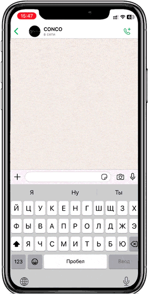 WhatsApp интерфейс — демо чата